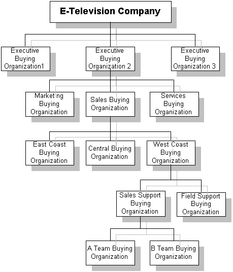 E-Television Buying Organizations